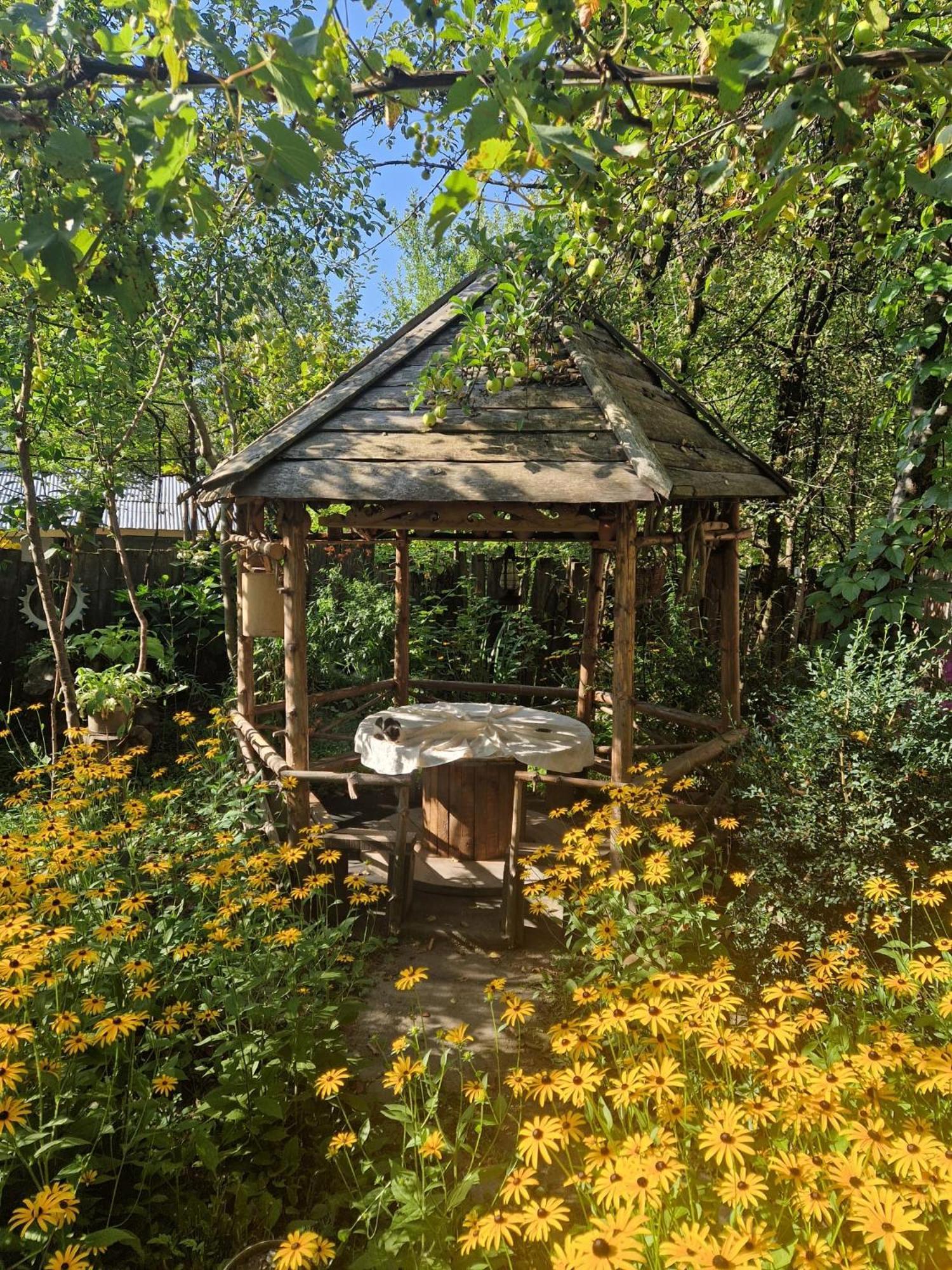 Guest House "Svaneti" Lentekhi エクステリア 写真