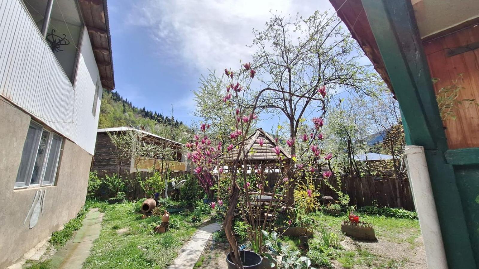 Guest House "Svaneti" Lentekhi エクステリア 写真