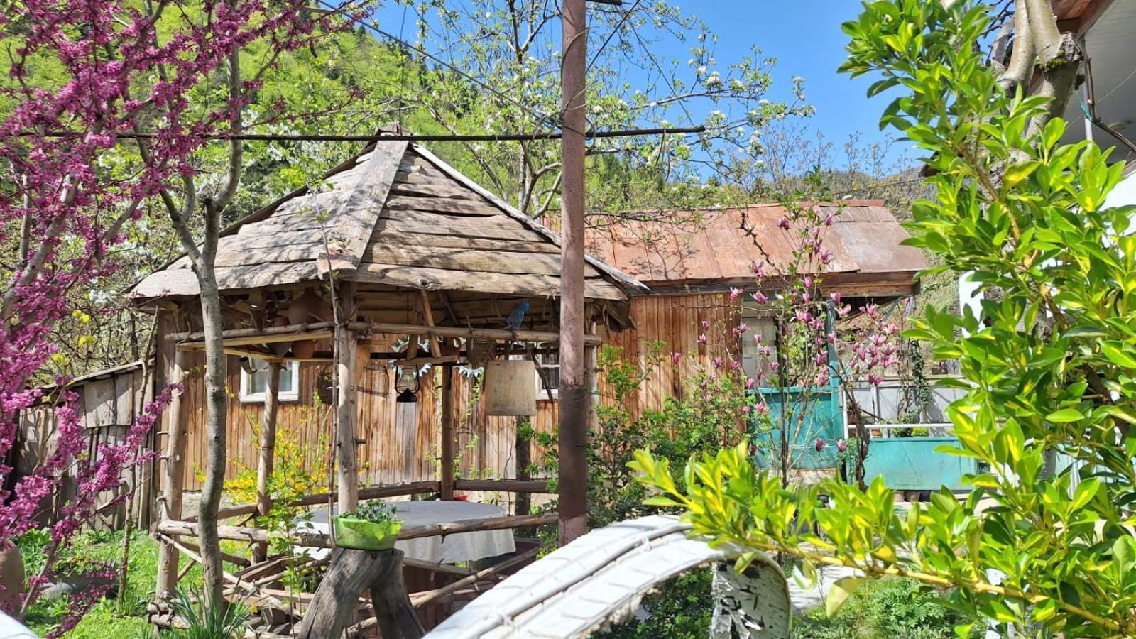 Guest House "Svaneti" Lentekhi エクステリア 写真