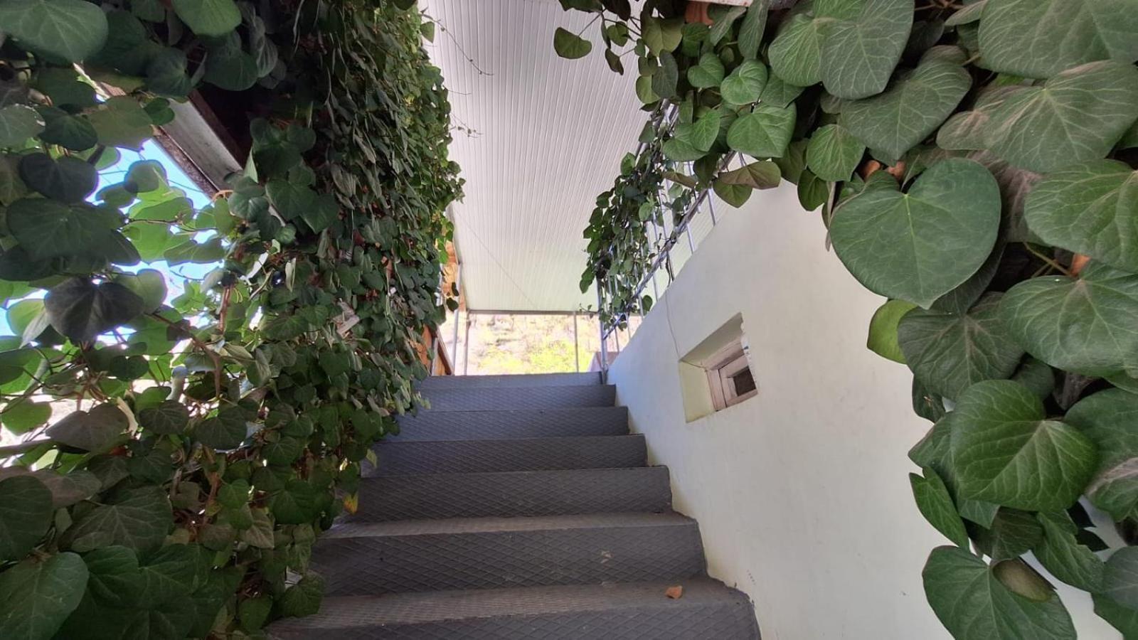 Guest House "Svaneti" Lentekhi エクステリア 写真