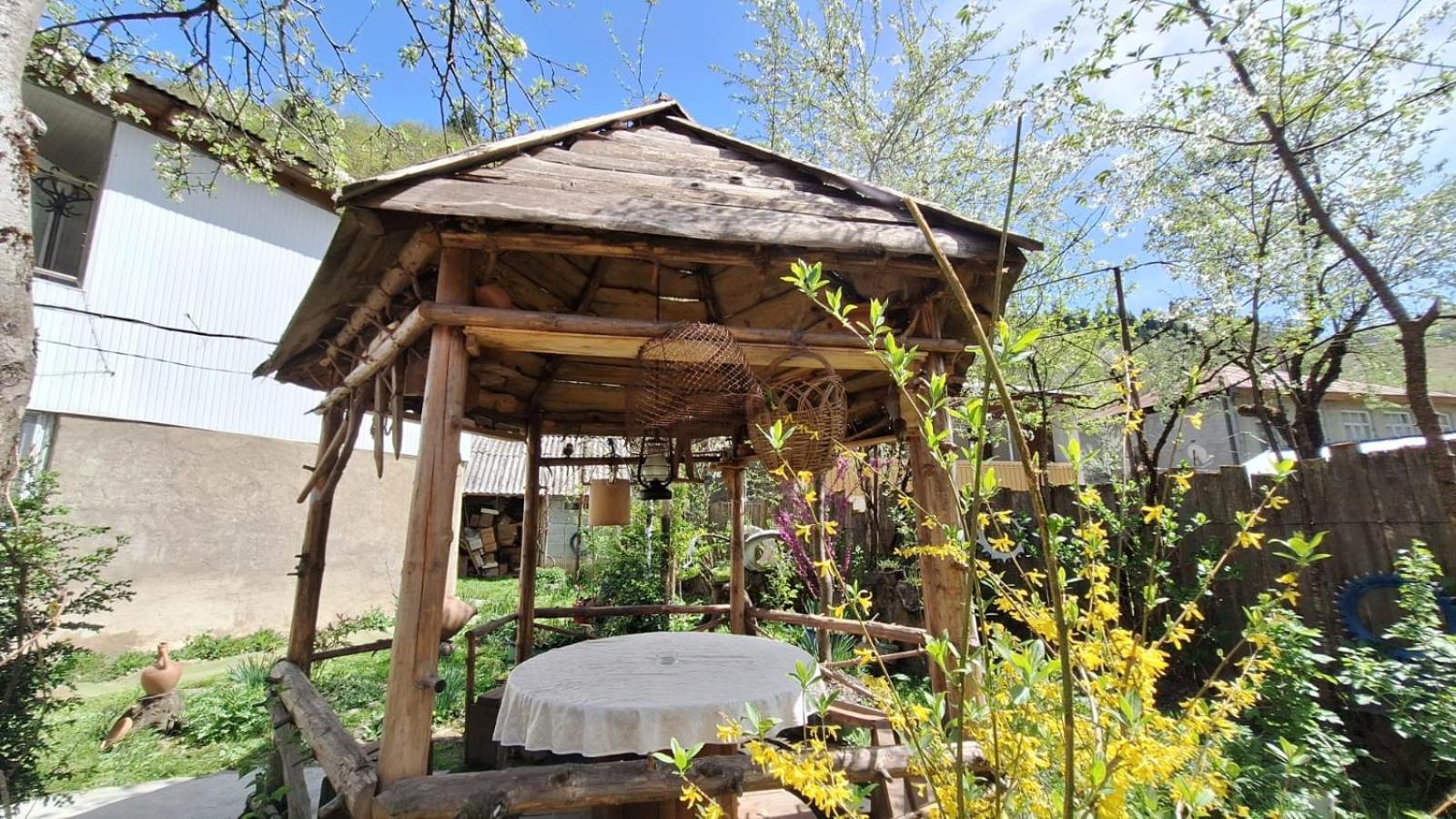 Guest House "Svaneti" Lentekhi エクステリア 写真