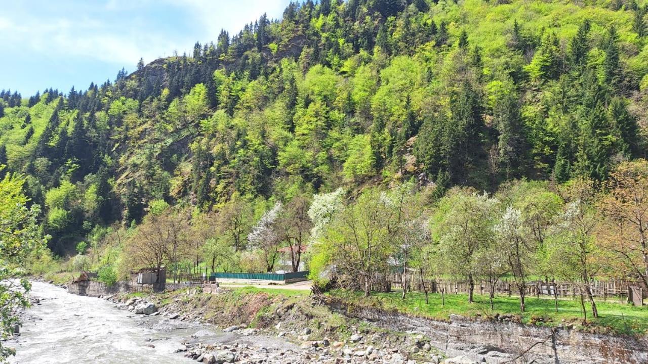 Guest House "Svaneti" Lentekhi エクステリア 写真