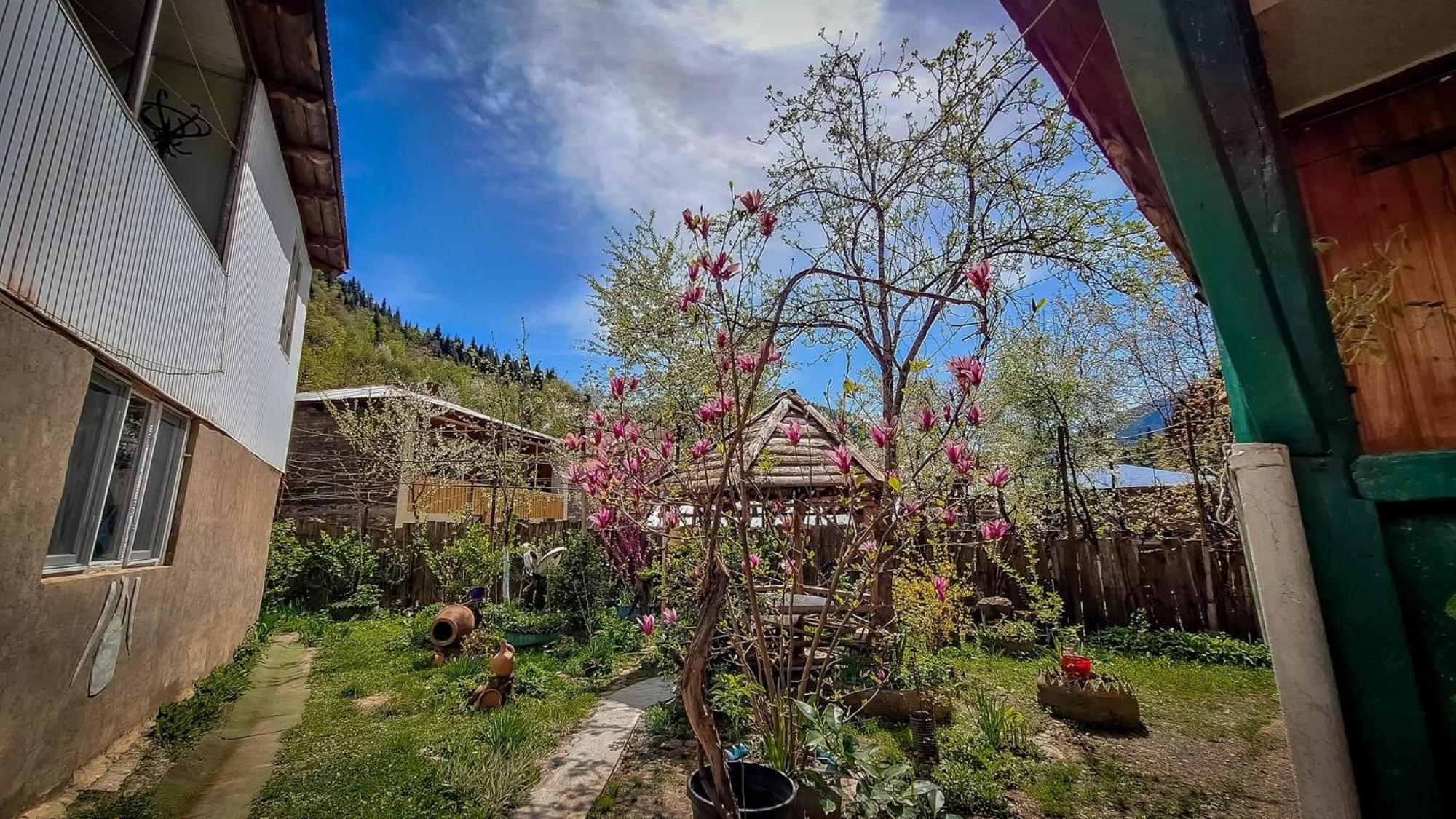 Guest House "Svaneti" Lentekhi エクステリア 写真